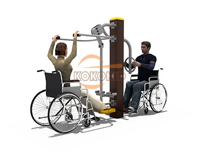 Handicap Fitness HFE-10